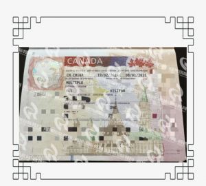 恭喜Z女士加拿大旅游签证成功--新西兰贴签