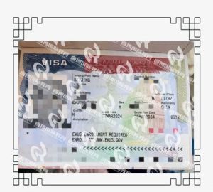 恭喜L先生美国旅游签B2签证一签通过