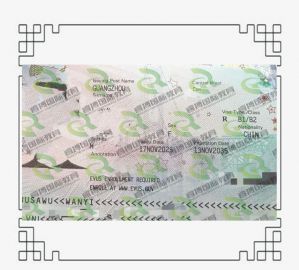 有被捕记录也能获签：W女士美国旅游签证申请实录